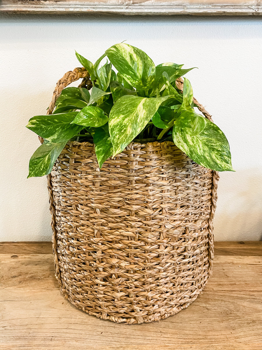 Round Braided Seagrass Storage Basket With Handles