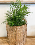 Round Braided Seagrass Storage Basket With Handles