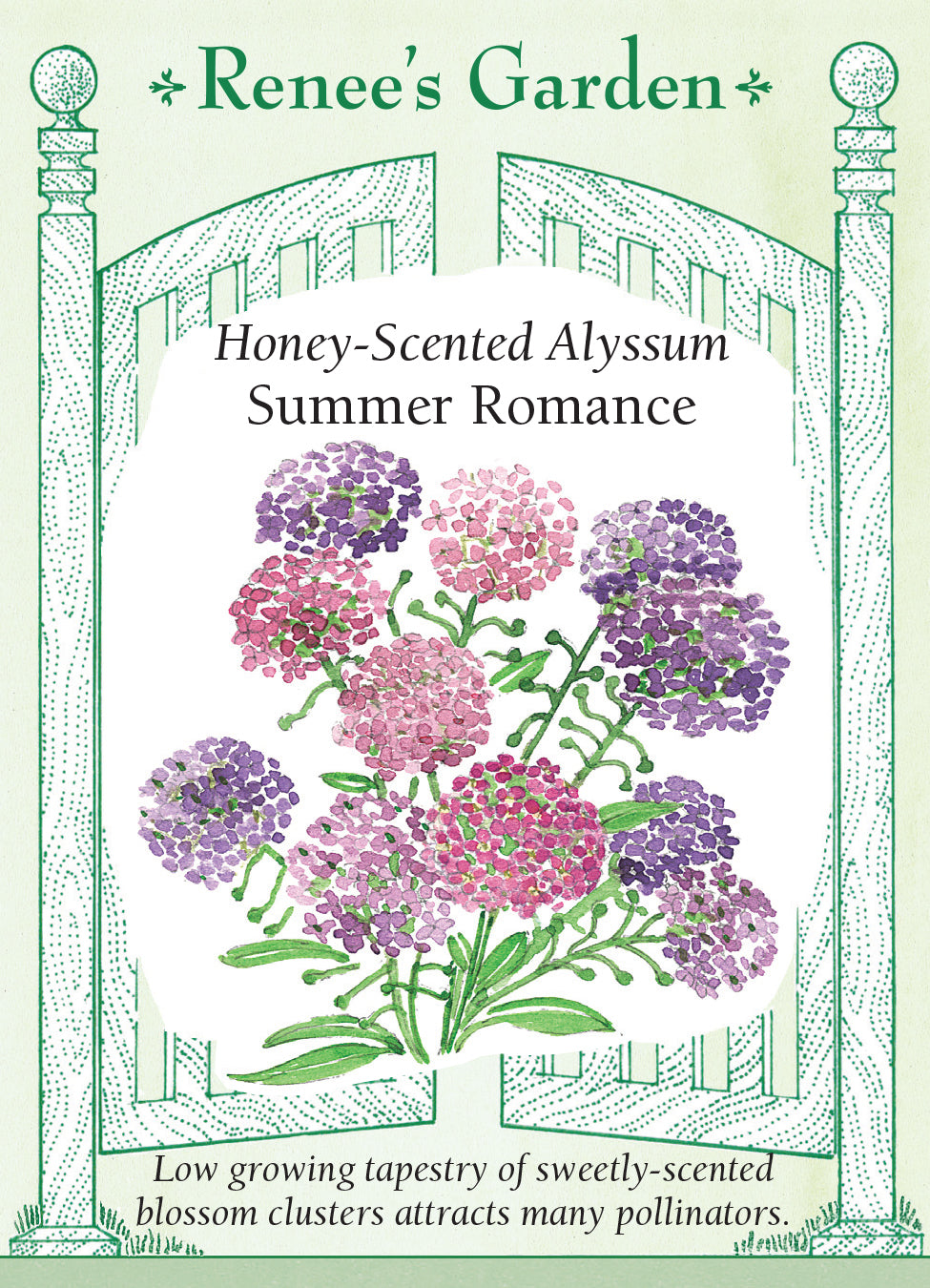 Alyssum Summer Romance Mix Seeds – Fossil Creek Tree Farm