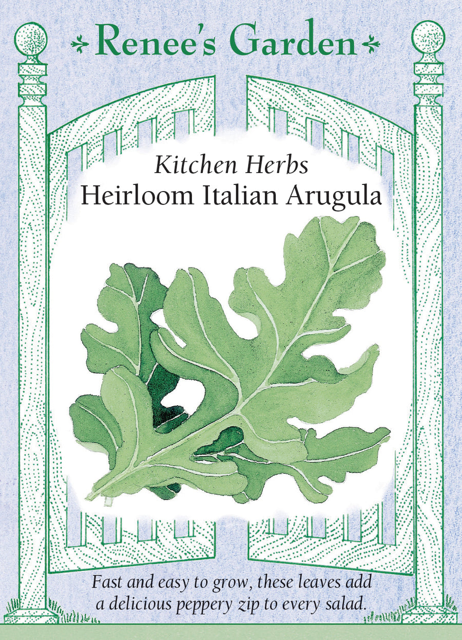Arugula Italian Seeds