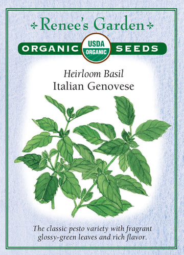 Basil Italian Genovese All Natural Seeds