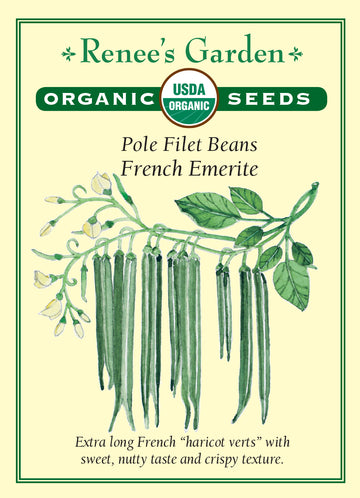 Bean Pole Emerite Filet Seeds