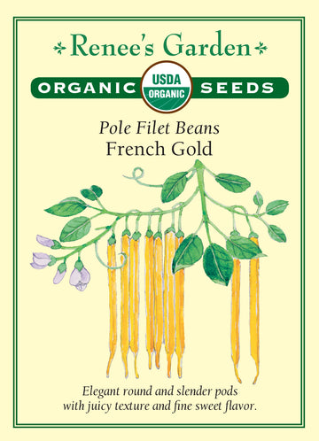 Bean Pole French Gold Filet All Natural Seeds