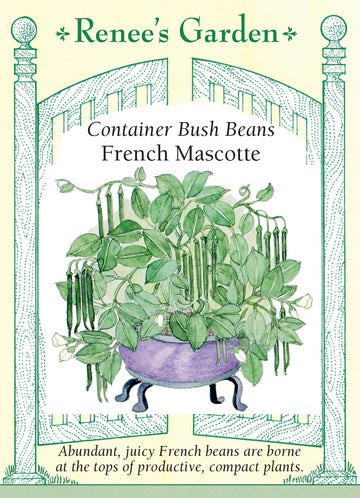 Bean Bush French Mascotte Seeds