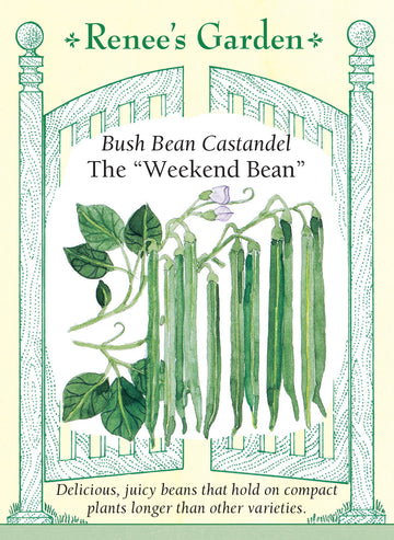 Bean Bush Castandel Weekend Seeds