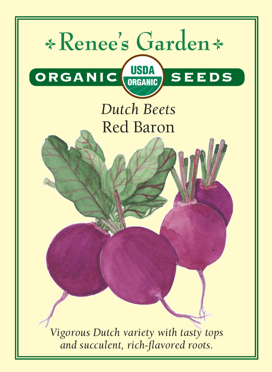 Beet Red Baron All Natural Seeds