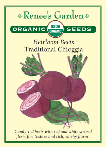 Beet Chioggia All Natural Seeds