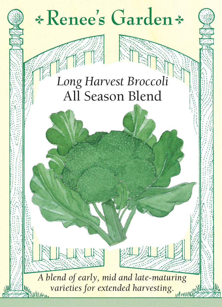 Broccoli All Season Blend Seeds