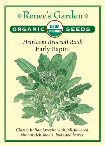 Broccoli Raab Rapini All Natural Seeds