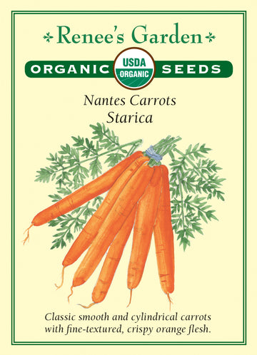 Carrot Starica All Natural Seeds