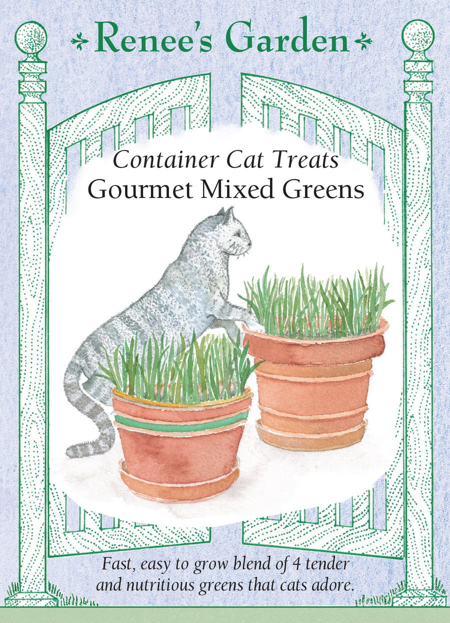 Cat Treats Gourmet Mixed Greens Seeds