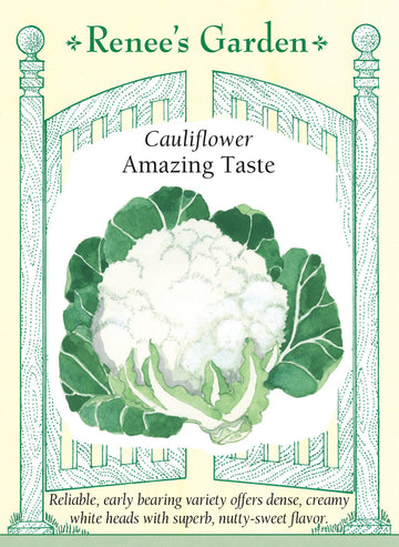 Cauliflower Amazing Taste Seeds