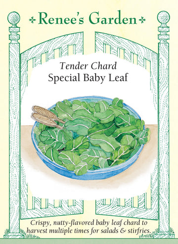 Chard Special Baby Leaf Seeds