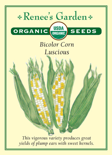 Corn Luscious Bicolor All Natural Seeds