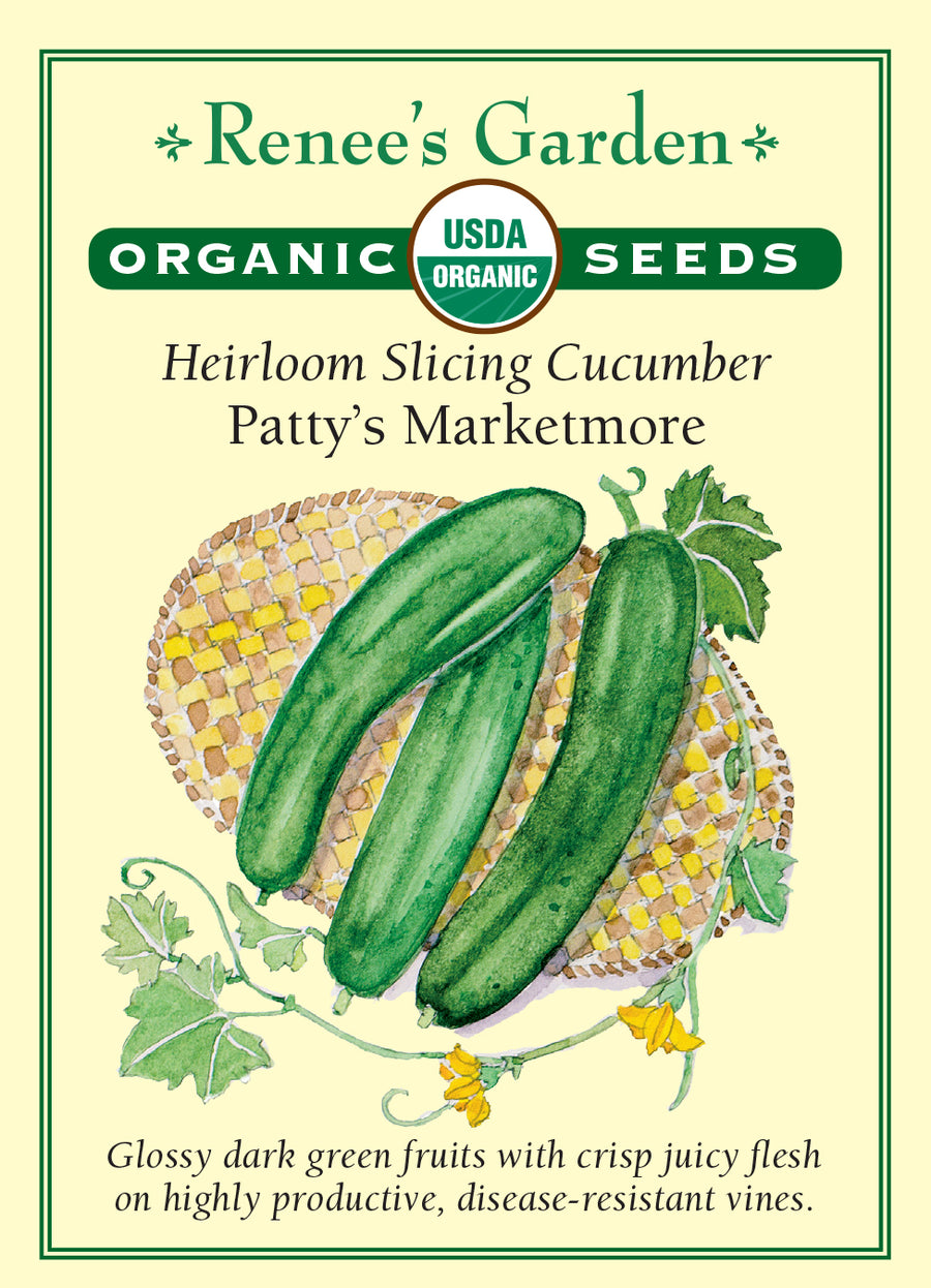 Cucumber Patty's Marketmore All Natural Seeds