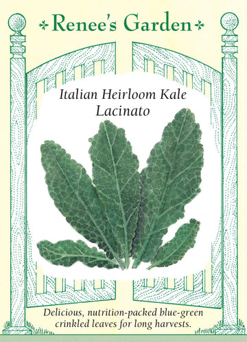 Kale Lacinato Seeds