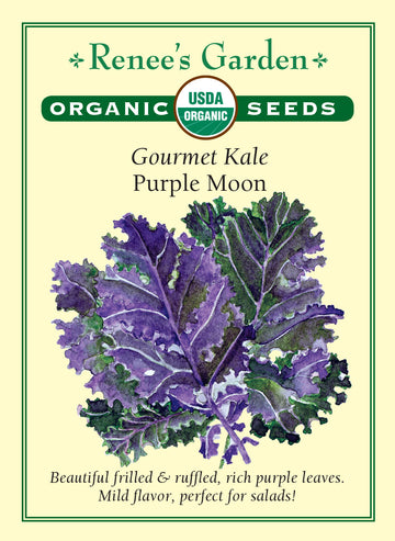 Kale Purple Moon All Natural Seeds