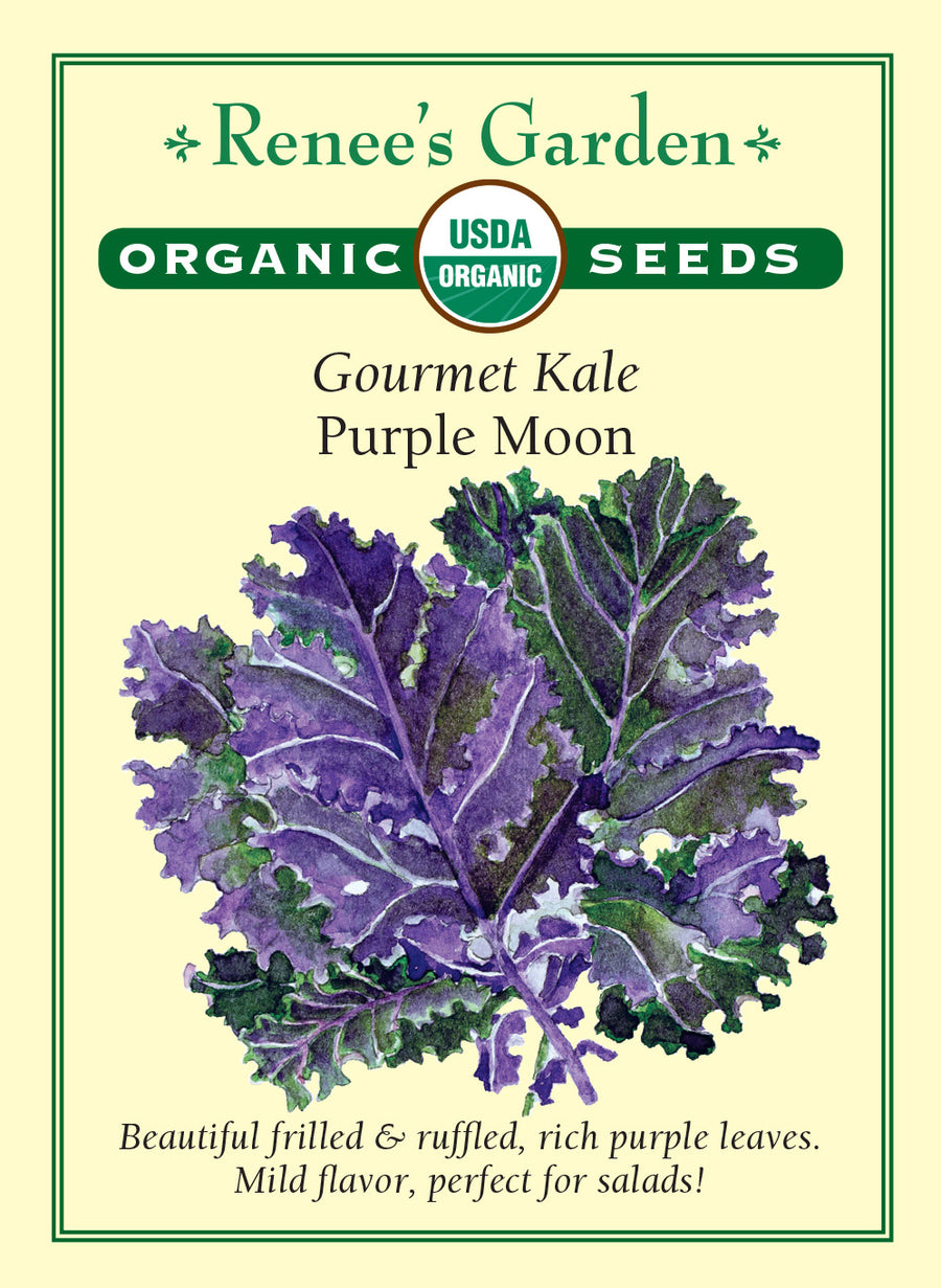 Kale Purple Moon All Natural Seeds