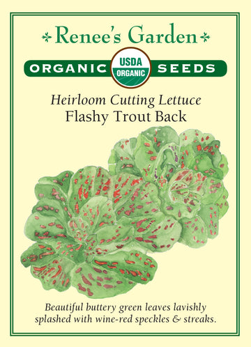 Lettuce Flashy Trout Back All Natural Seeds