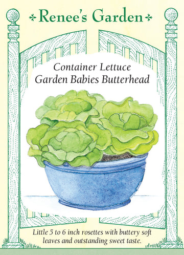 Lettuce Garden Babies Container Seeds