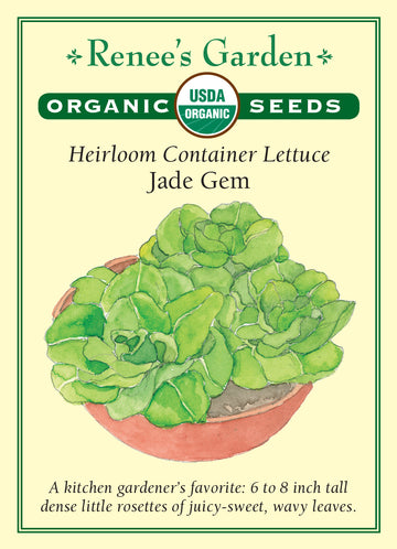 Lettuce Jade Gem All Natural Seeds