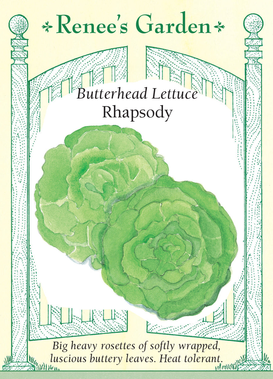 Lettuce Rhapsody Butterhead Seeds
