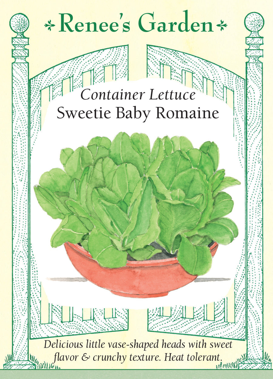 Lettuce Sweetie Baby Romaine Seeds
