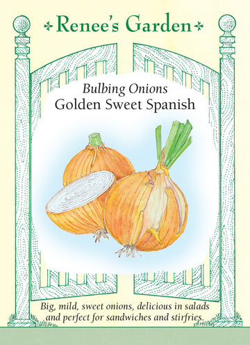Onion Golden Sweet Spanish Seeds
