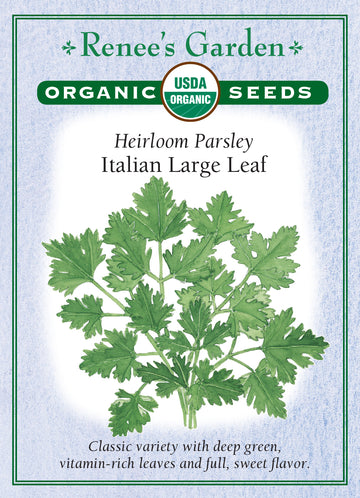 Parsley Italian Large Leaf All Natural Seeds