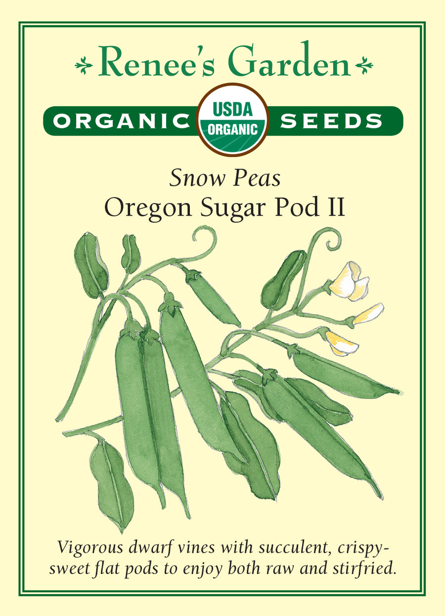 Pea Snow Oregon Sugar Pod II All Natural Seeds