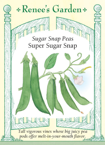 Pea Snap Super Sugar Snap Seeds