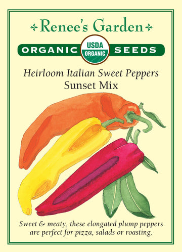 Pepper Sweet Italian Sunset Mix All Natural Seeds