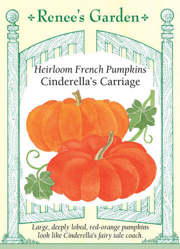 Pumpkin Cinderella's Carriage Seeds