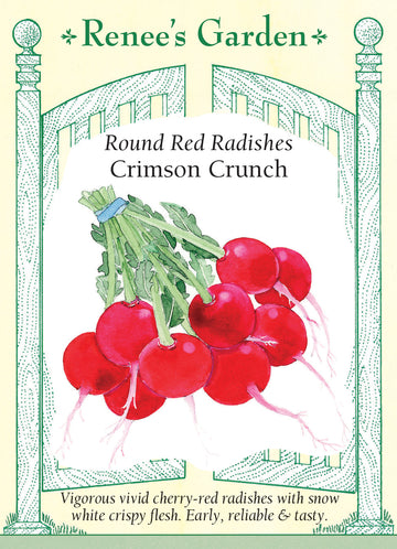 Radish Crimson Crunch Seeds