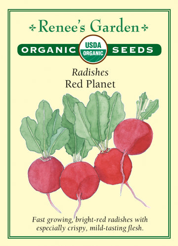 Radish Red Planet All Natural Seeds