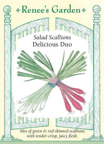 Onion Scallions Delicious Duo Seeds