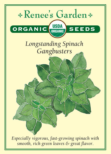 Spinach Gangbusters All Natural Seeds