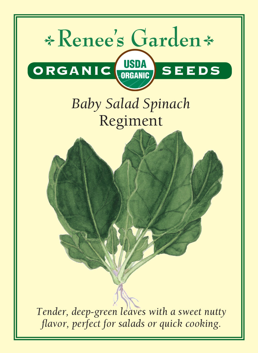 Spinach Regiment All Natural Seeds