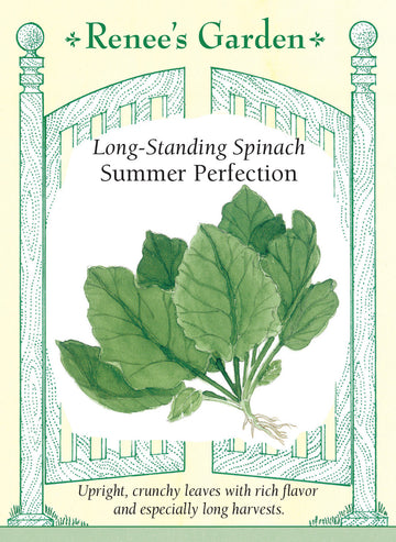 Spinach Summer Perfection Seeds