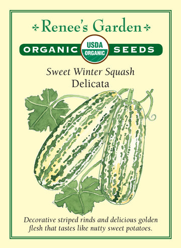 Squash Winter Delicata All Natural Seeds