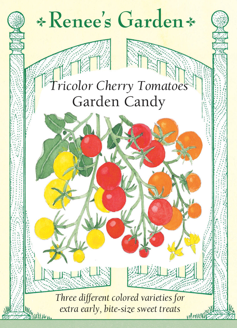 Tomato Cherry Garden Candy Seeds