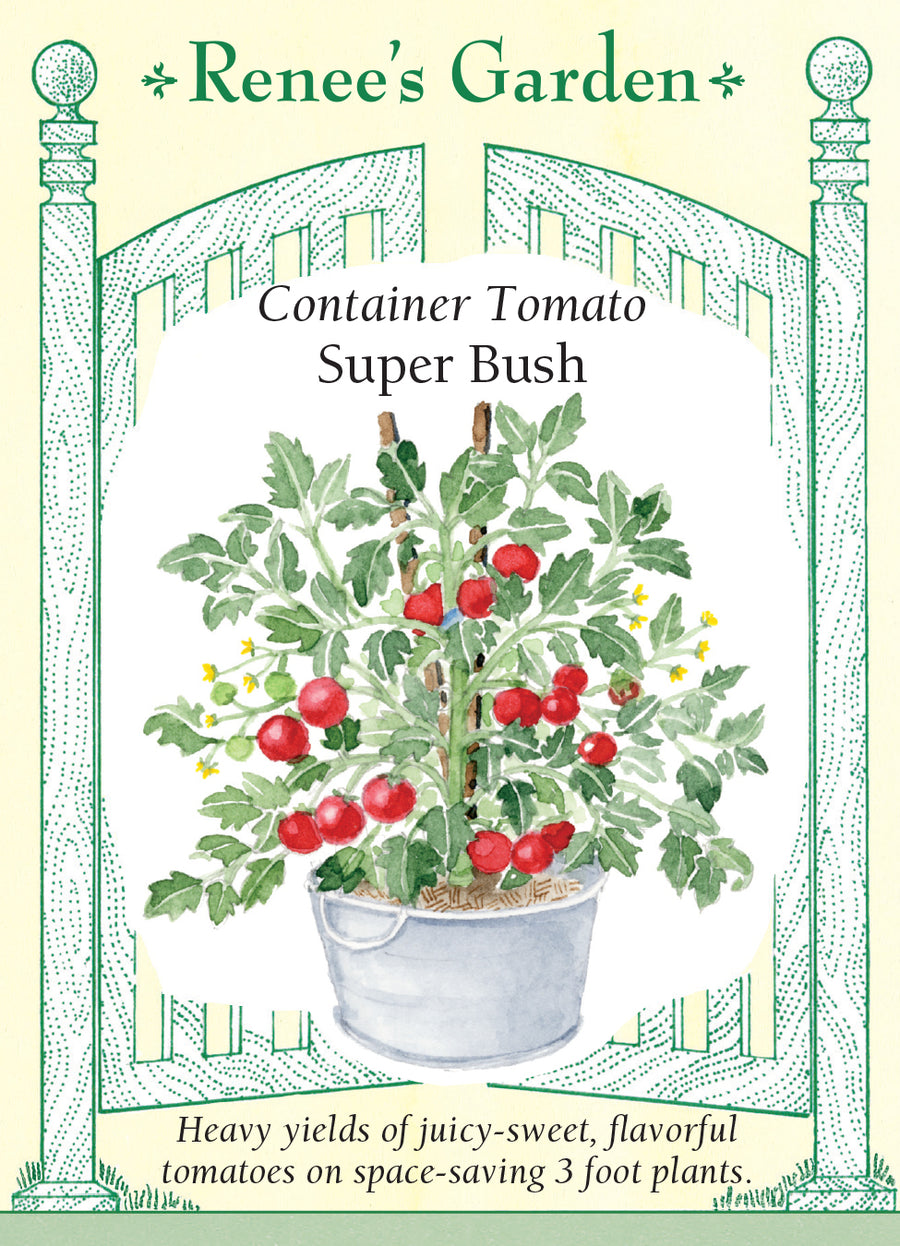 Tomato Super Bush Container Seeds