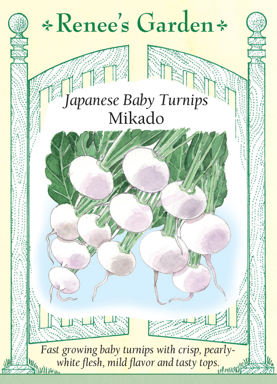 Turnip Mikado Seeds