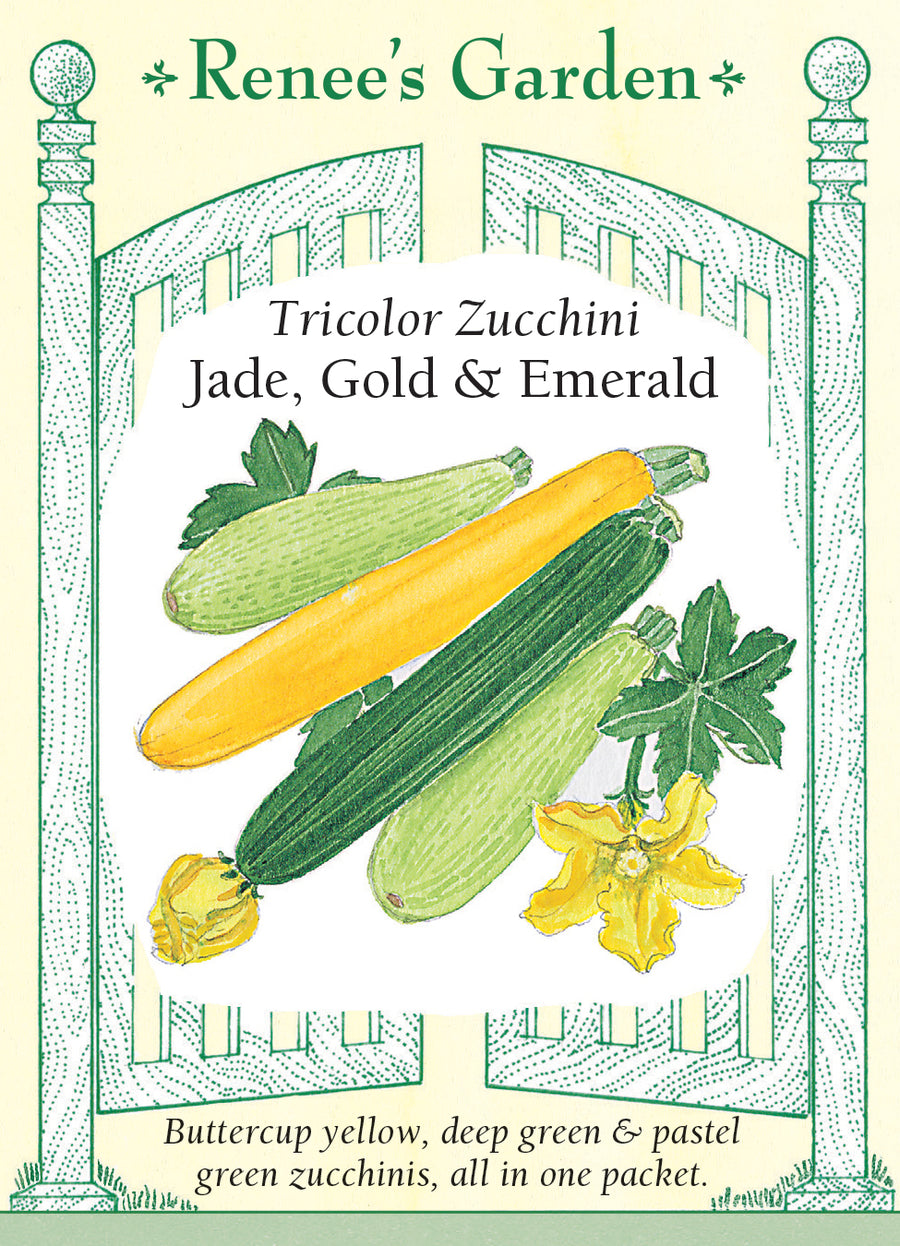 Squash Summer Zucchini Tricolor Mix Seeds